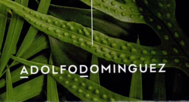 Rip Curl Centro Optico Anton Elche